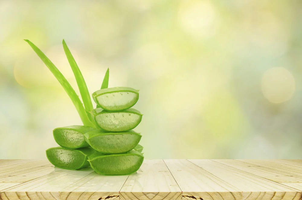 Aloe vera Aloe vera