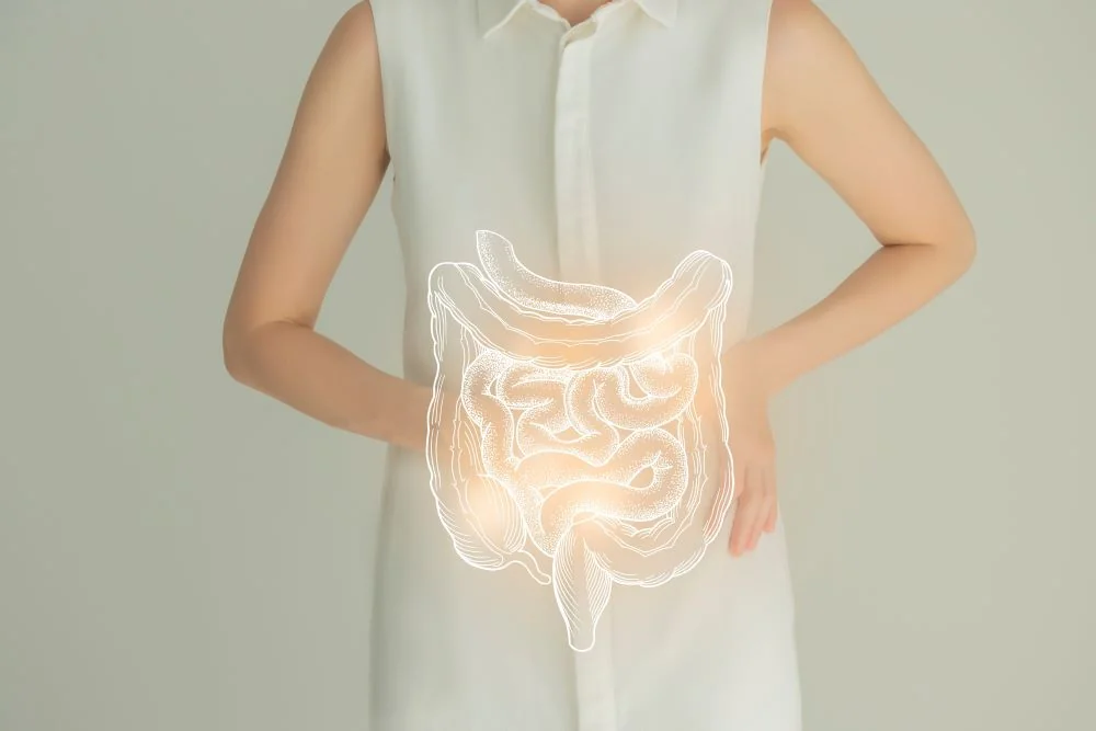 Digestie lenta (tranzit intestinal lent): cauze, simptome, tratament