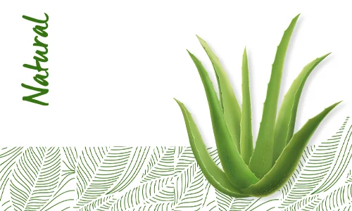 Dr. Max Natural Gel intim cu aloe vera si acid lactic, 250ml