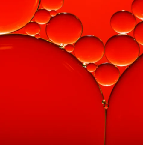 COMPLEX ANTIOXIDANT NATURAL