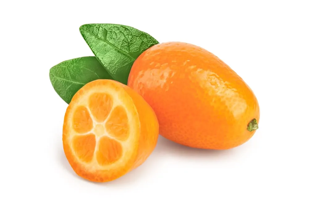 Beneficiile pentru sanatate ale kumquat