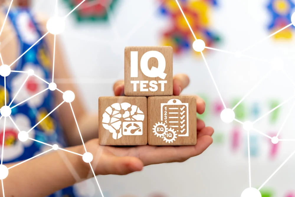 IQ Test IQ Test