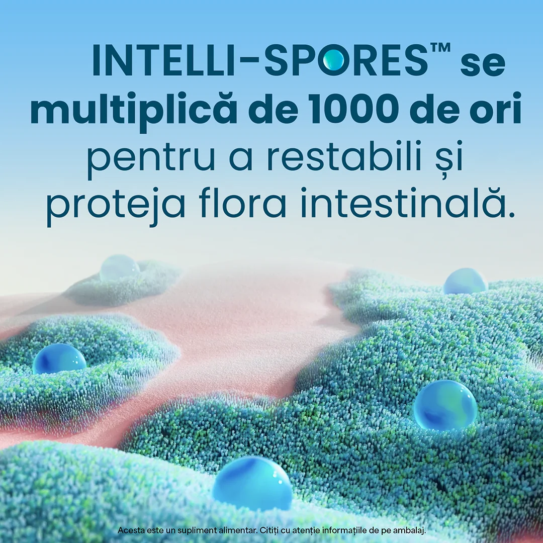 Enterogermina Forte suspensie orala, 10 flacoane, Sanofi