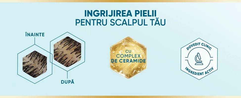 Comparatie inainte si dupa utilizarea Head & Shoulders DermaXPro, cu complex de ceramide pentru ingrijirea scalpului uscat.