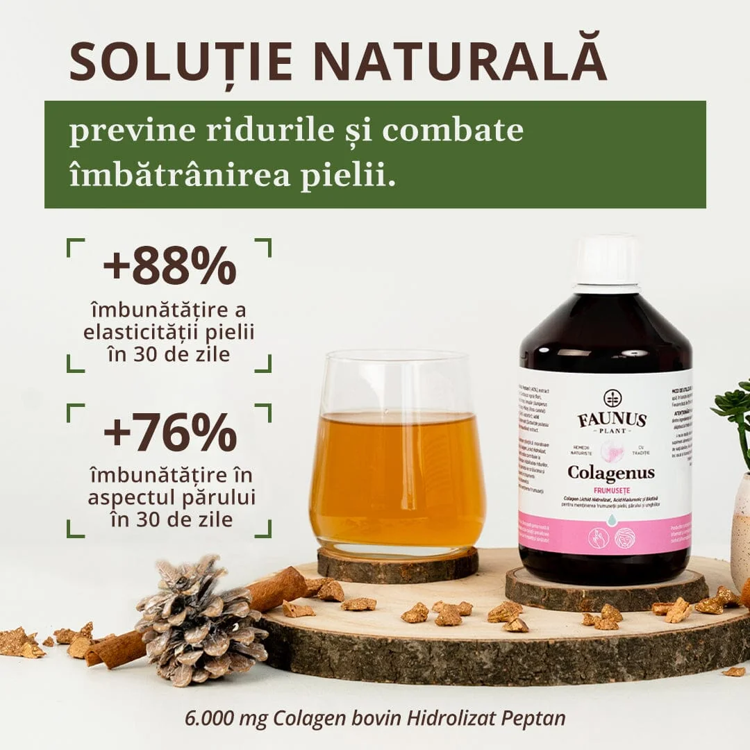 Colagen lichid pentru piele si par Colagenus Frumusete, 500ml, Faunus Plant