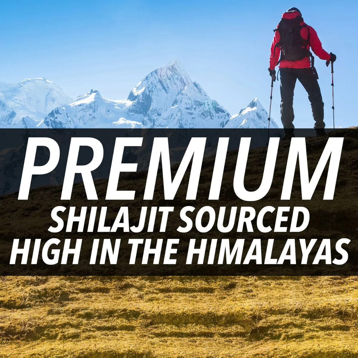 Rasina pura de Shilajit din Himalaya Nugenix® Shilajit, 60 capsule, GNC