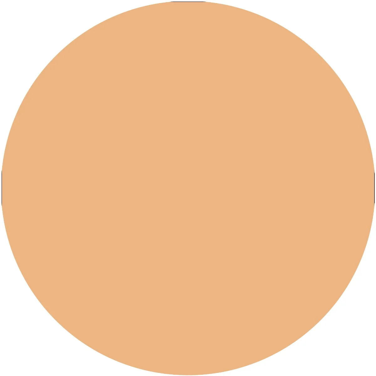 Nuantator pentru piele Skin Tint 30, 30ml, Essence