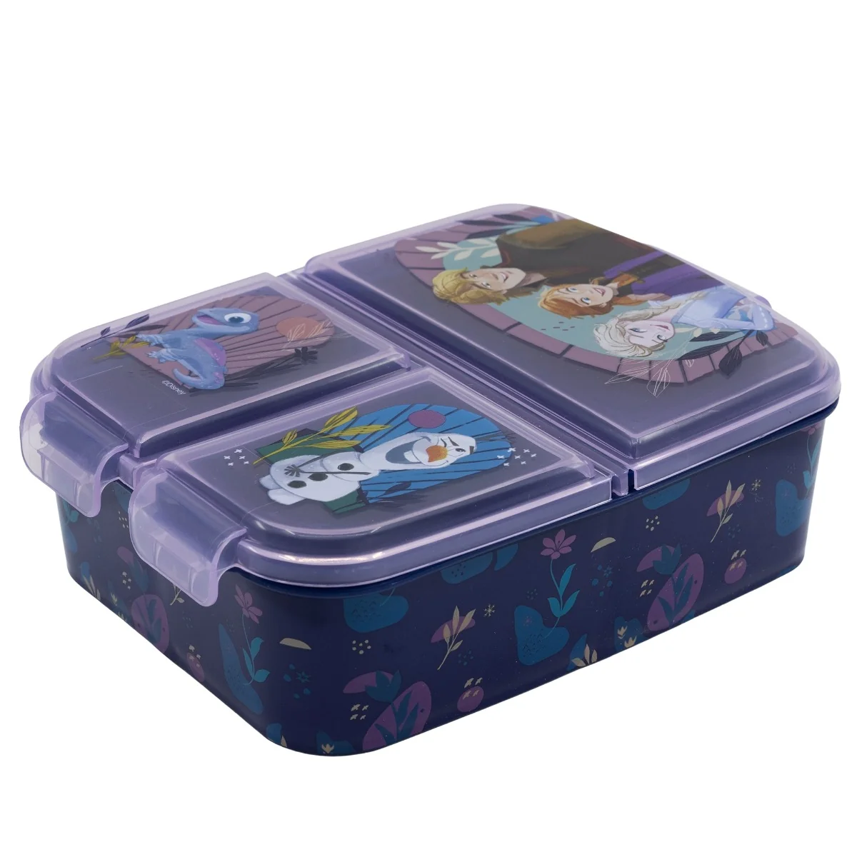 Cutie compartimentata sandwich Frozen, 1 bucata, Kidscenter