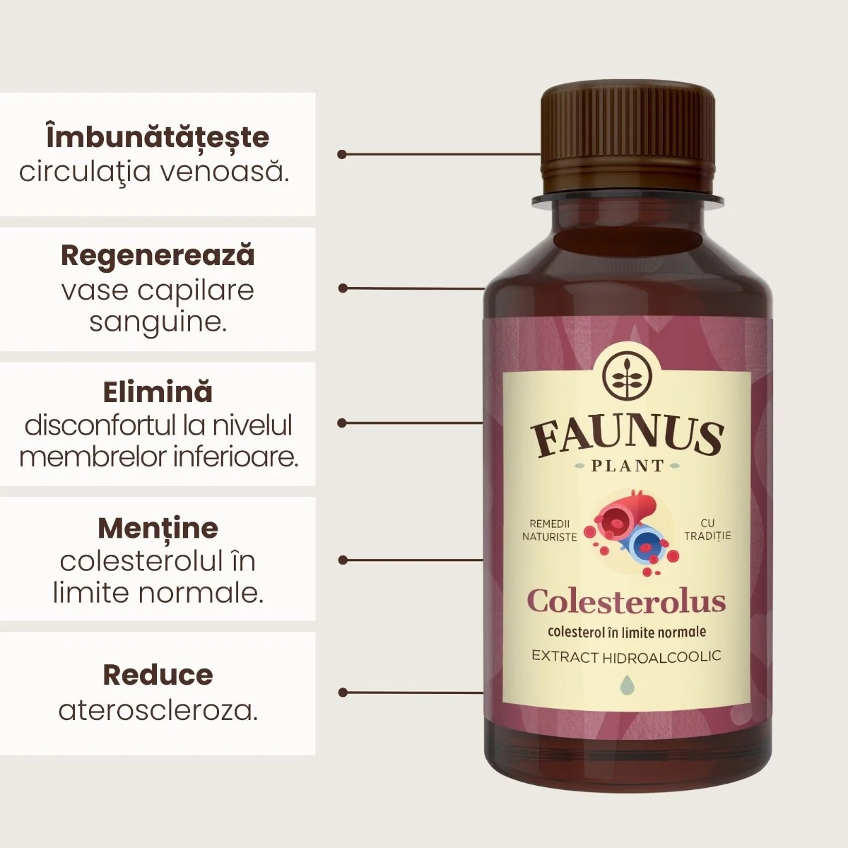 Tinctura pentru colesterol si trigliceride Colesterolus, 200ml, Faunus Plant
