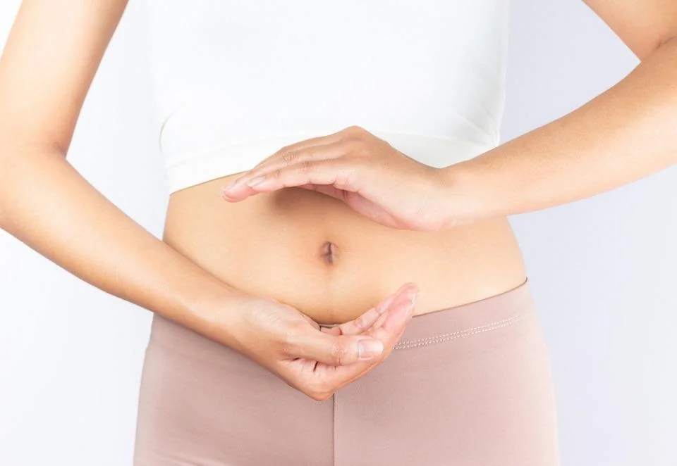Lactobacillus: beneficii, utilizari, rol