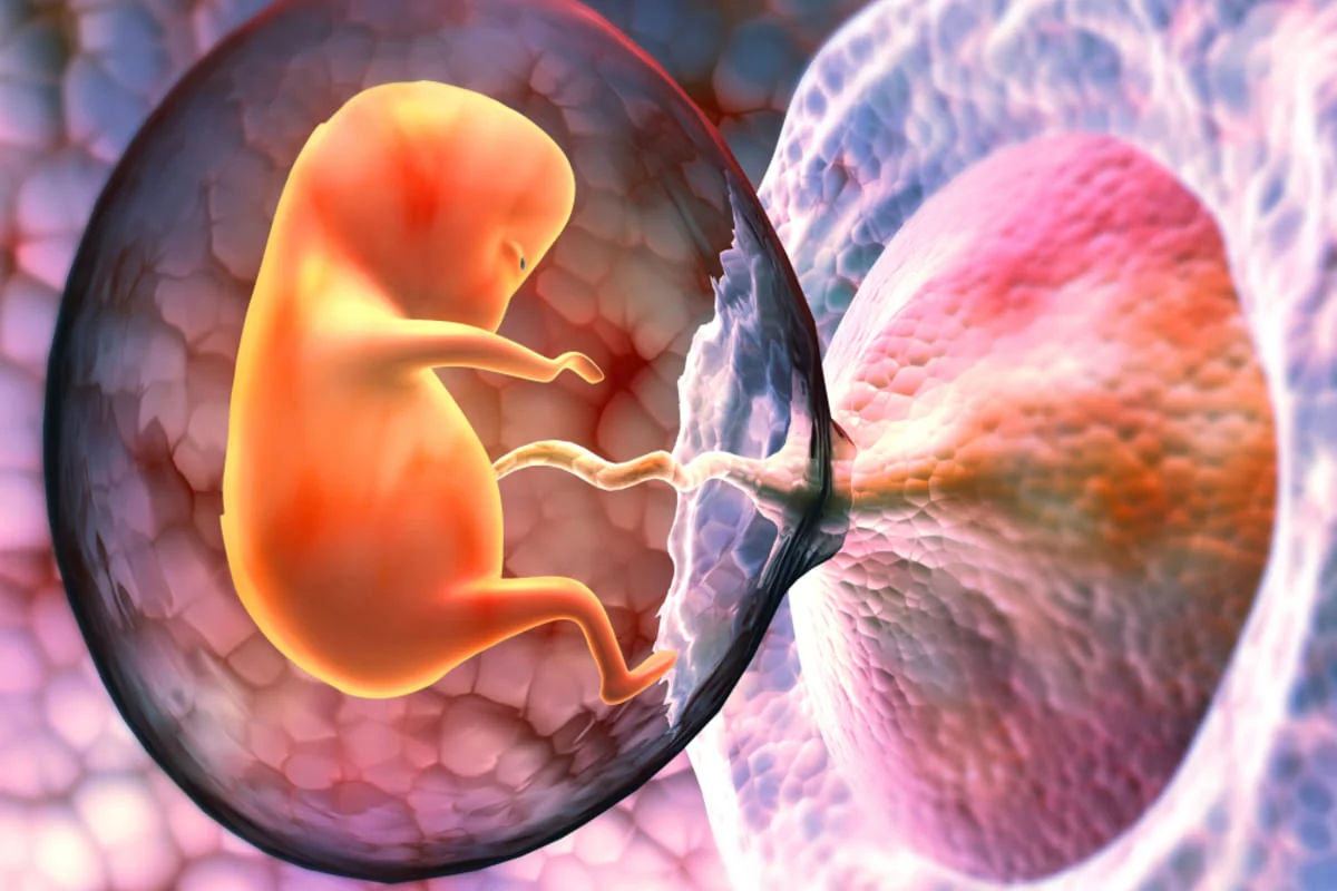 Placenta percreta: cauze, simptome, tratament