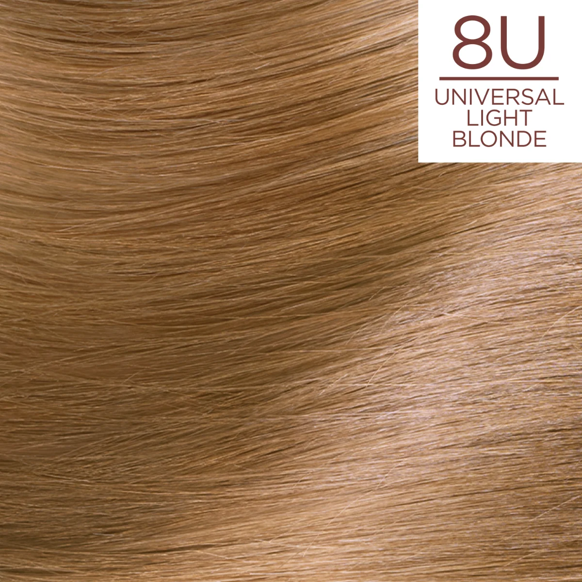 Vopsea de par permanenta fara amoniac Excellence 8U Universal Light Blonde, 192ml, L'Oreal Paris
