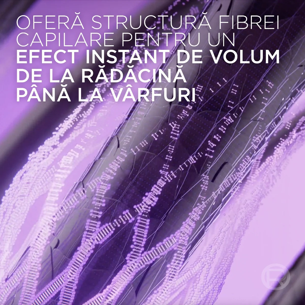Sampon pentru volum Collagen Lifter, 250ml, Elseve