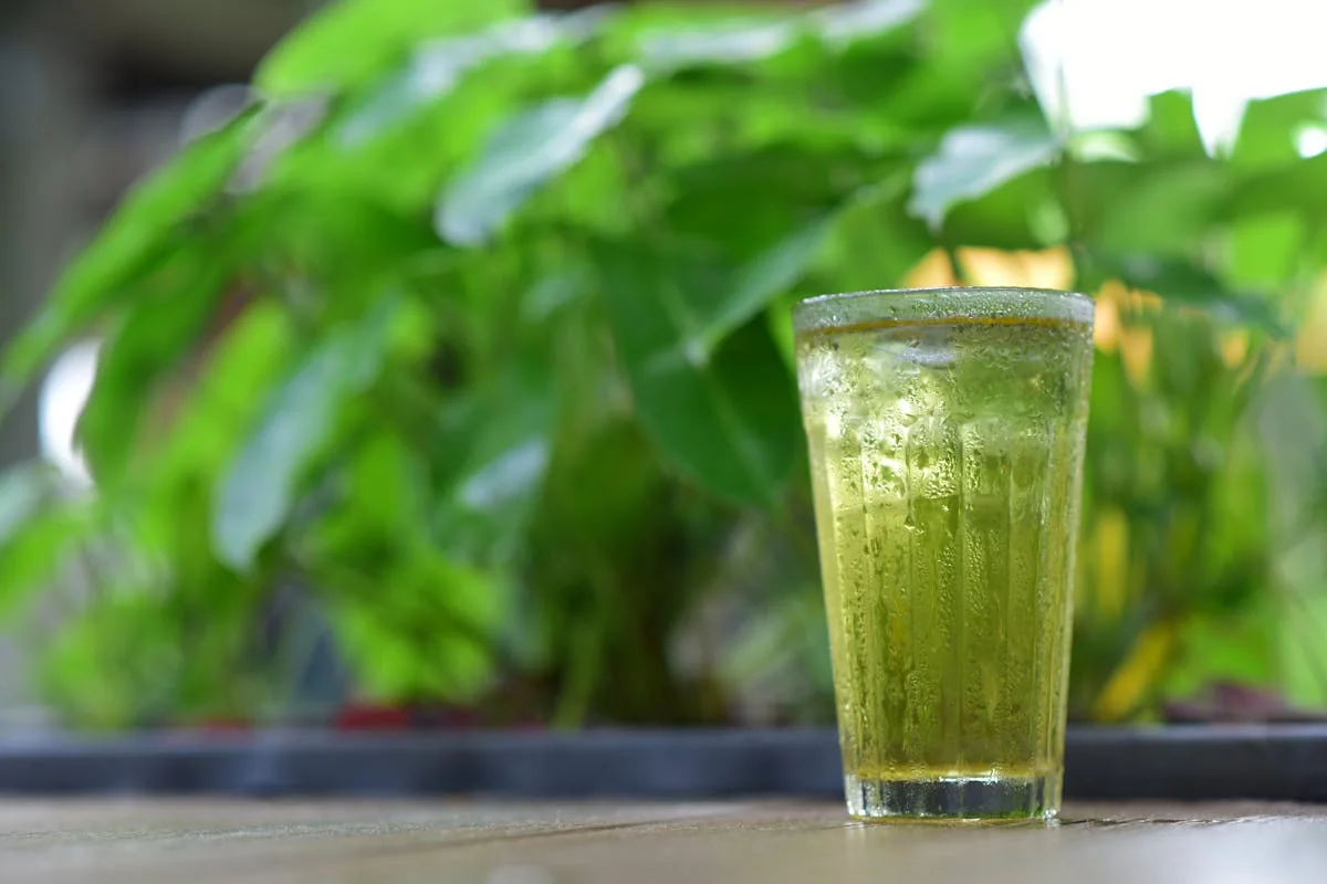 pahar cu ceai rece de oregano