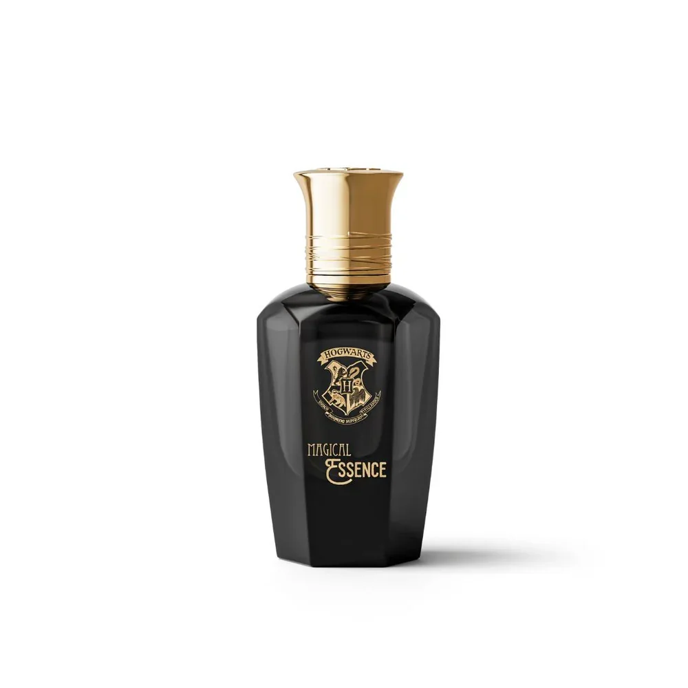 Apa de parfum pentru barbati Hogwarts Magical Essence Ambition Wizarding World, 50ml, Harry Potter