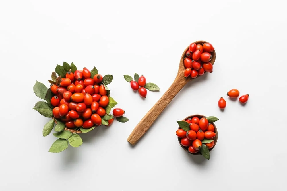 Macesele - continutul de nutrienti Macesele - continutul de nutrienti