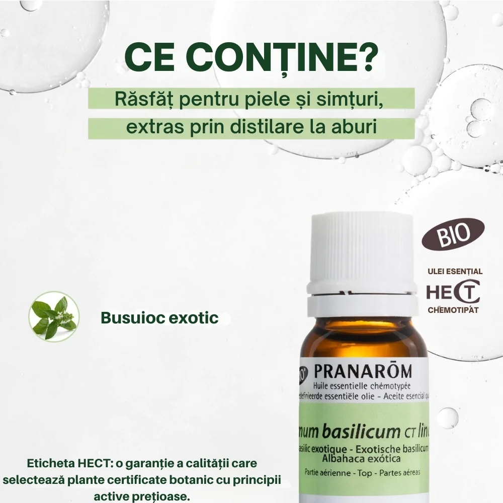 Ulei esential de Busuioc Exotic Bio, 10ml, Pranarom
