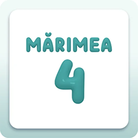 Marimea 4 Marimea 4