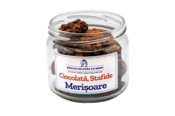 Biscuiti de ovaz cu ciocolata stafide merisoare, 145g, Ohvaz