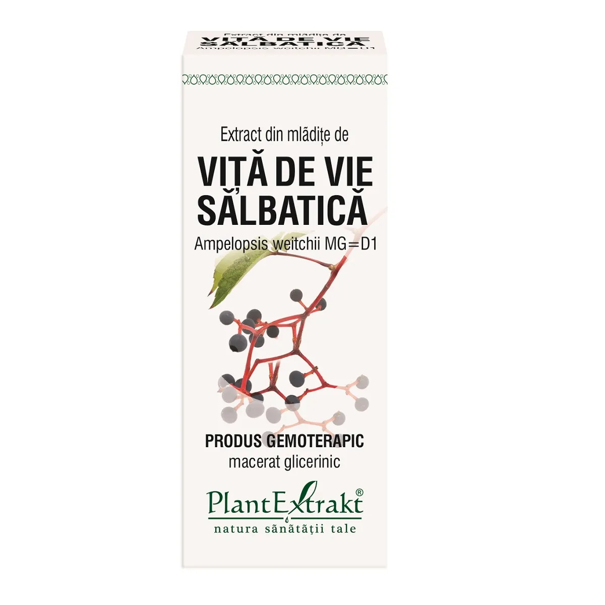 Extract din mladite de vita de vie salbatica, 50ml, Plantextrakt