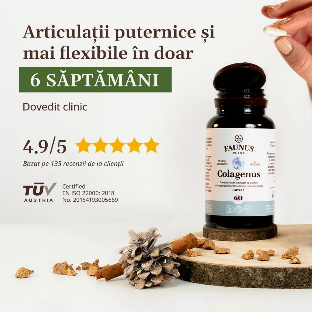Colagen tip II pentru articulatii oase piele par Colagenus, 60 capsule, Faunus Plant