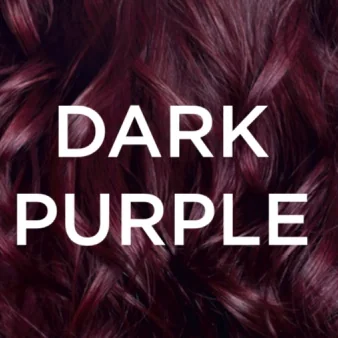 Vopsea de par permanenta cu amoniac Preference Vivid Colours 4.216 Dark Purple, 204ml, L'Oreal Paris