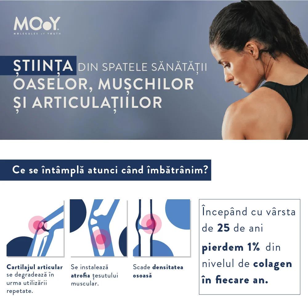 Colagen bovin pentru articulatii cu aroma de zmeura M33, 390g, Molecules of Youth 