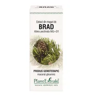 Extract din muguri de Brad, 50ml, PlantExtrakt