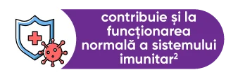 contribuie si la functionarea normala a sistemului imunitar