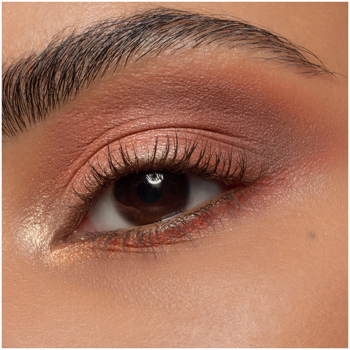 Mascara Lash Without Limits Brown Extreme Lengthening & Volume 02 - Brown, 13ml, Essence
