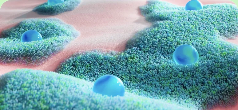 Intelli-Spores se multiplica de 1000 de ori pentru a restabili si proteja flora intestinala Intelli-Spores se multiplica de 1000 de ori pentru a restabili si proteja flora intestinala
