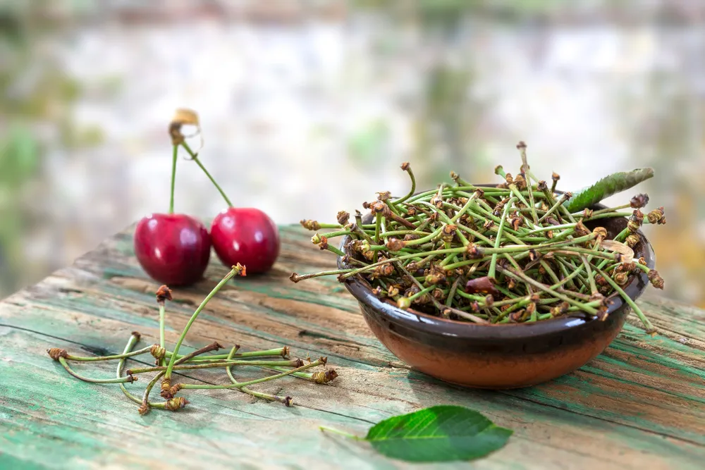 Beneficiile ceaiului din cozi de cirese