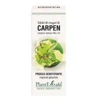 Extract din muguri de Carpen, 50ml, Plant Extrakt