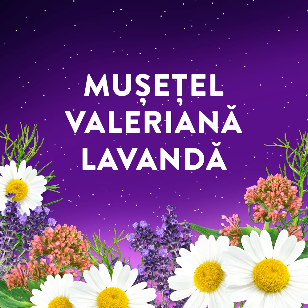 Musetel, valeriana, lavanda. Musetel, valeriana, lavanda.