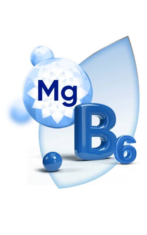 Magneziul si B6