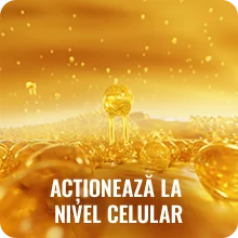 Doze