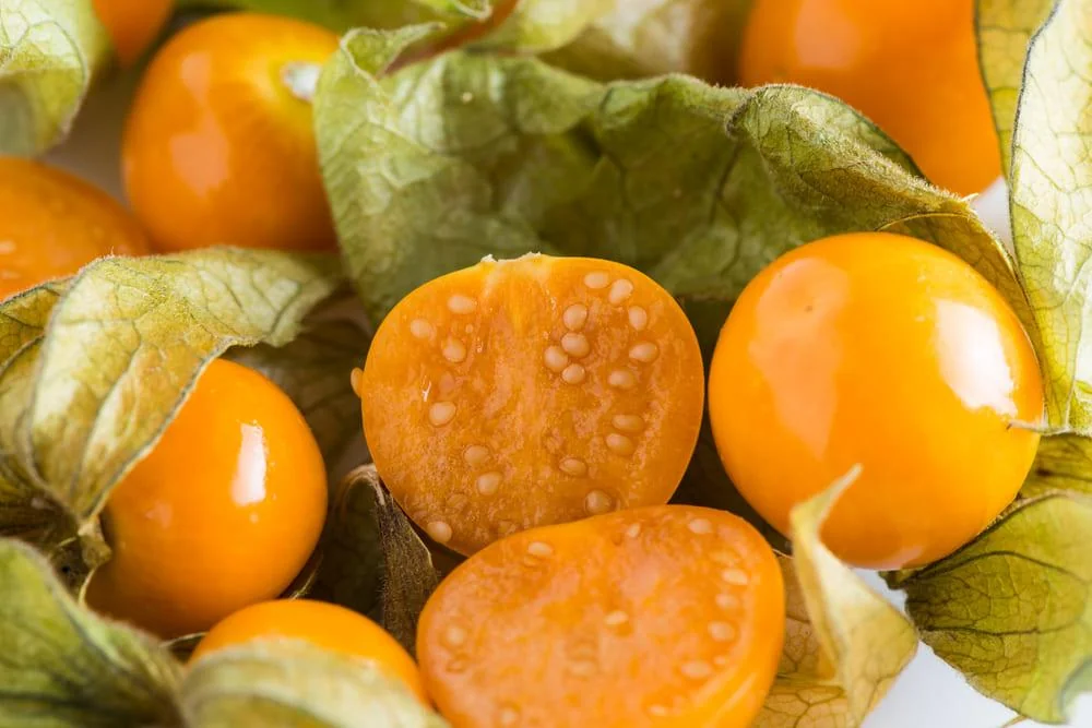 Physalis - beneficii, proprietati, contraindicatii