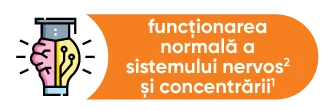 functionarea normala a sistemului nervos si concentrarii