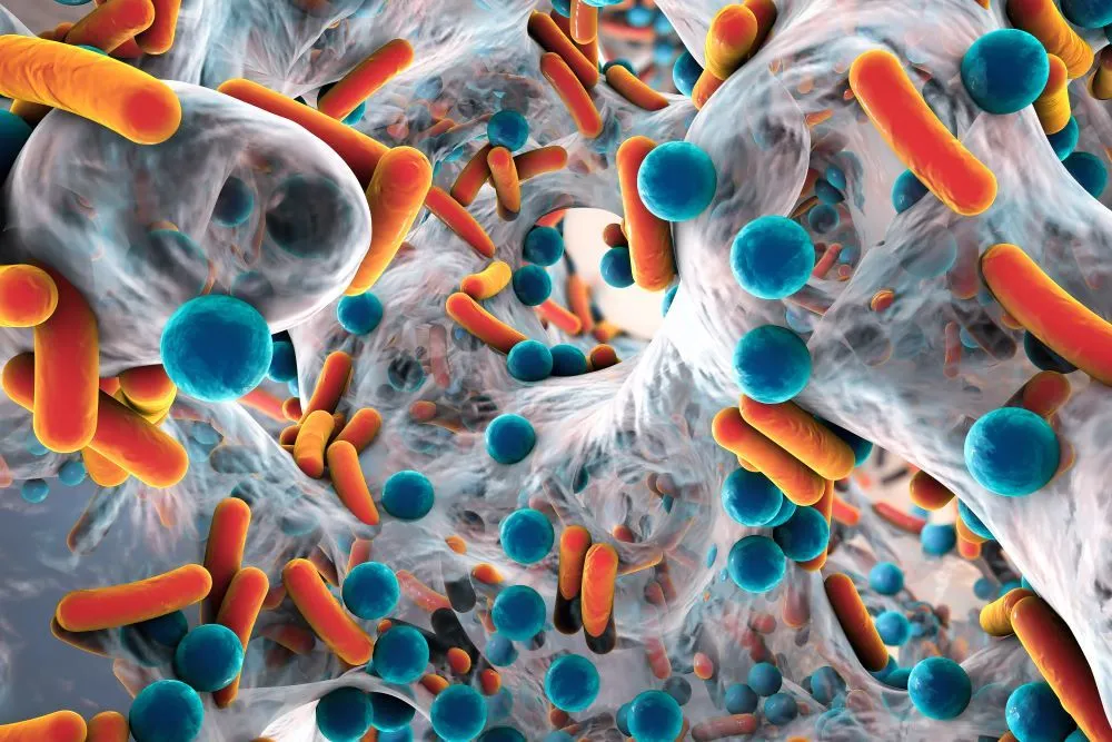 Rezistenta la antibiotice: ce este si ce trebuie sa stii despre ea