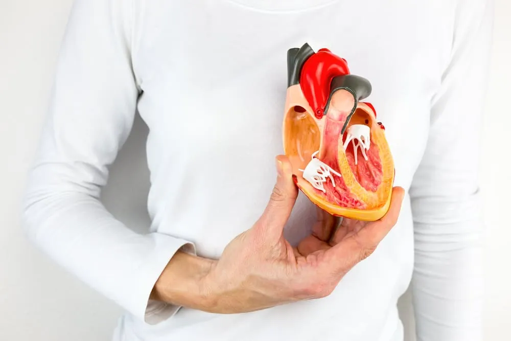 Anatomia inimii