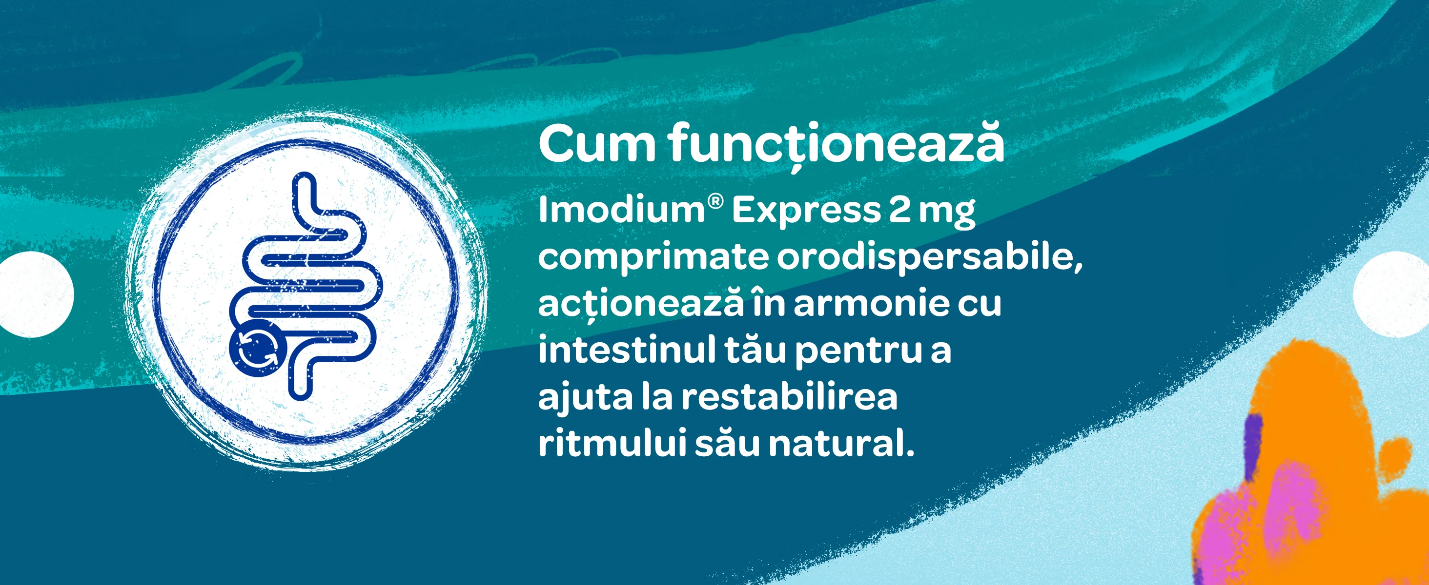 Cum functioneaza Imodium Express