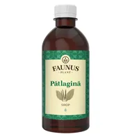 Sirop cu patlagina, 500ml, Faunus Plant