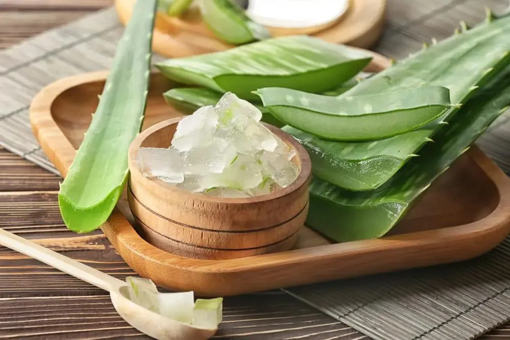 Aloe vera - beneficii, proprietati, contraindicatii | Dr. Max Farmacia