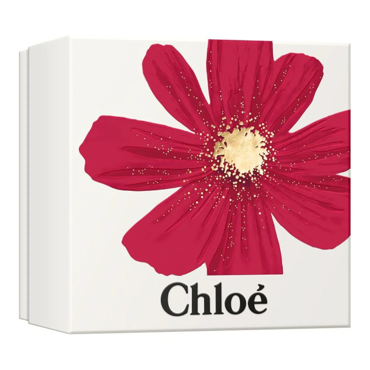 Set pentru femei Signature Intense, Chloe