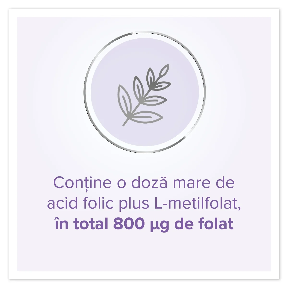 Dr. Max Pregnafolin I, 30 comprimate filmate