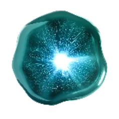 Phylobioma