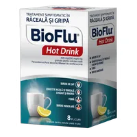 Bioflu Hot Drink 500 mg/200 mg/4 mg granule pentru solutie orala, 8 plicuri, Biofarm
