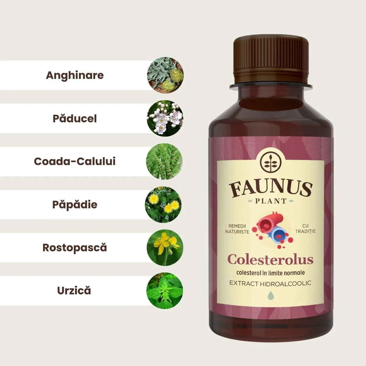 Tinctura pentru colesterol si trigliceride Colesterolus, 200ml, Faunus Plant