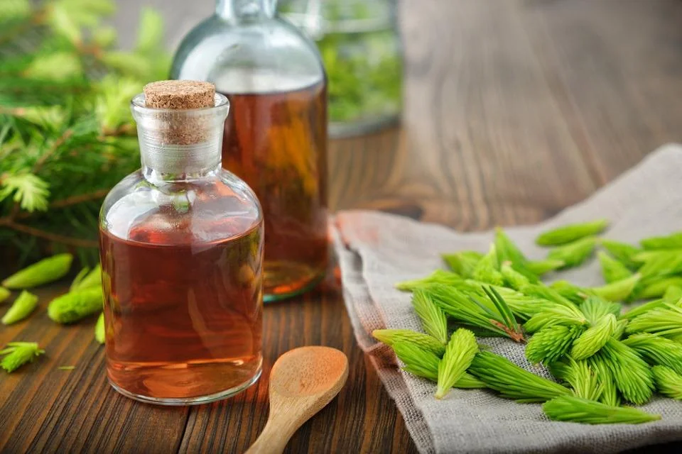 Sirop de brad: beneficii, proprietati, utilizari