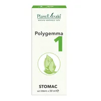 Polygemma 1 Stomac, 50ml, PlantExtrakt